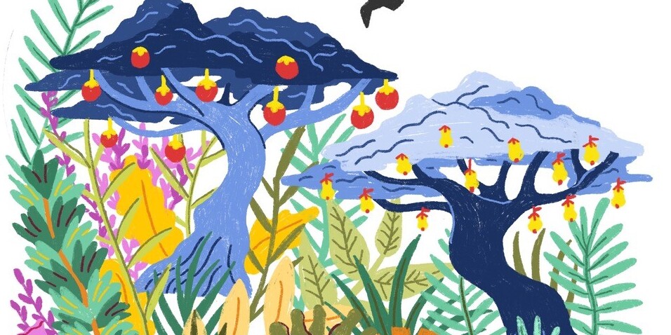 Illustration