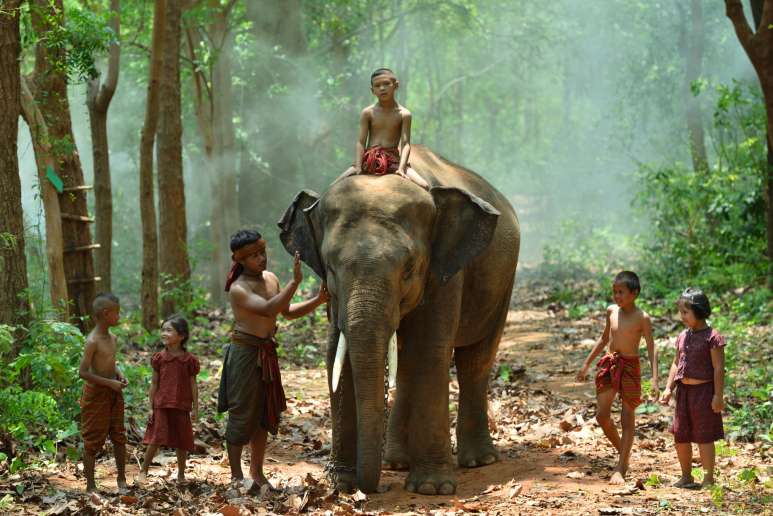 Die Menschen leben friedlich mit den Elefanten zusammen.