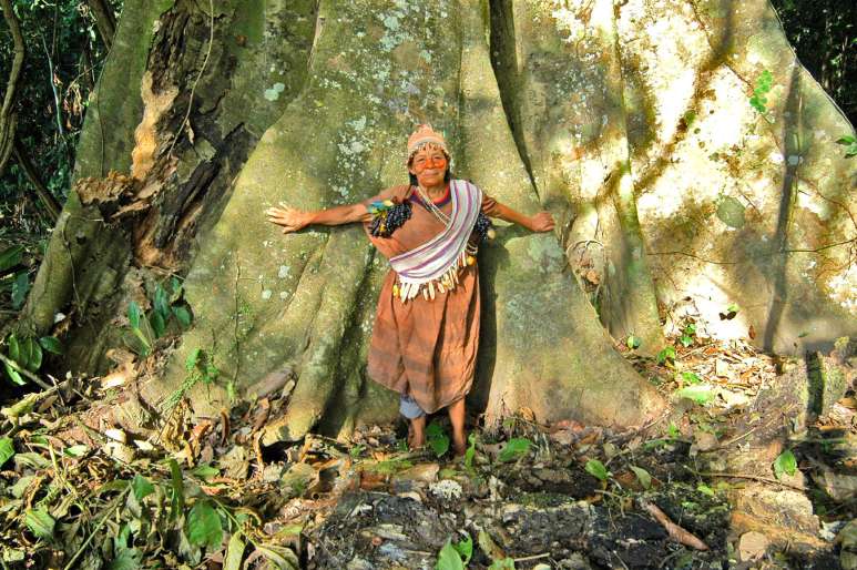 Im Regenwald leben auch noch Ureinwohner. Sie möchten gerne dort bleiben. (Foto: Nathalie Weemaels/regenwald.org)