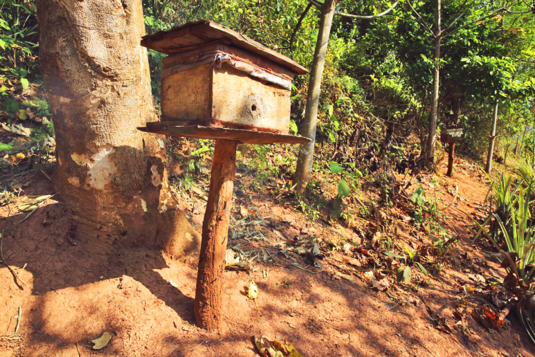 So sieht ein Bienenhäuschen in Laos aus. 
