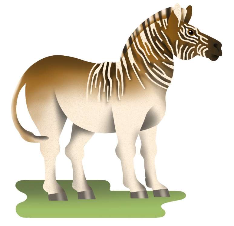 Quagga