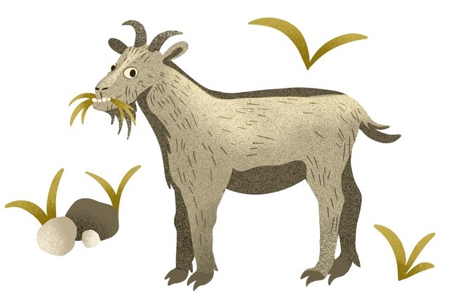 Illustration: Melanie Grauer