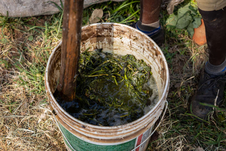 Organischer Dünger herstellen.
