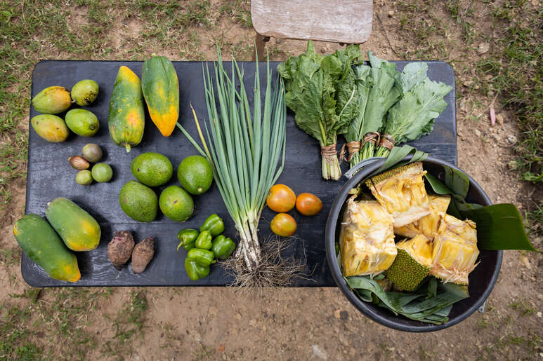 In Kenia wächst viel Gemüse und Früchte wie Mangos, Avocados, Papayas, Peperoni, Jackfruit und Frühlingszwiebeln.
