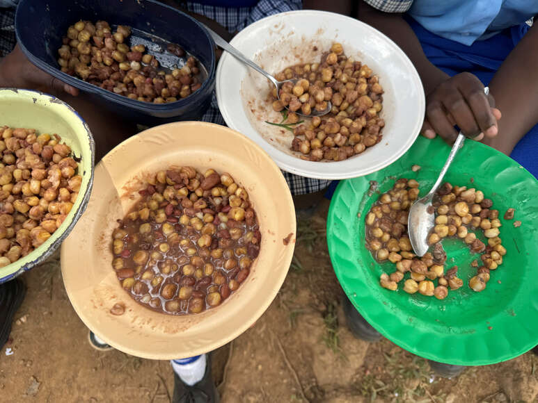 Kichererbsen