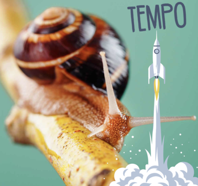 Schnecke und Rakete