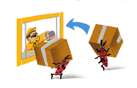 Käfer bringt Paket zur Post.