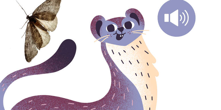 Hör Muxli zu, Illustration: Melanie Grauer, ChatGPT