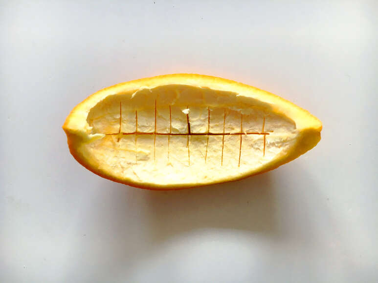 Orangenschale von innen